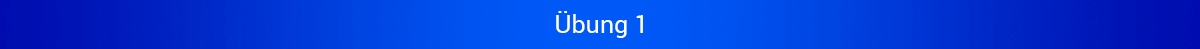 Online-Übung 1 Pickel